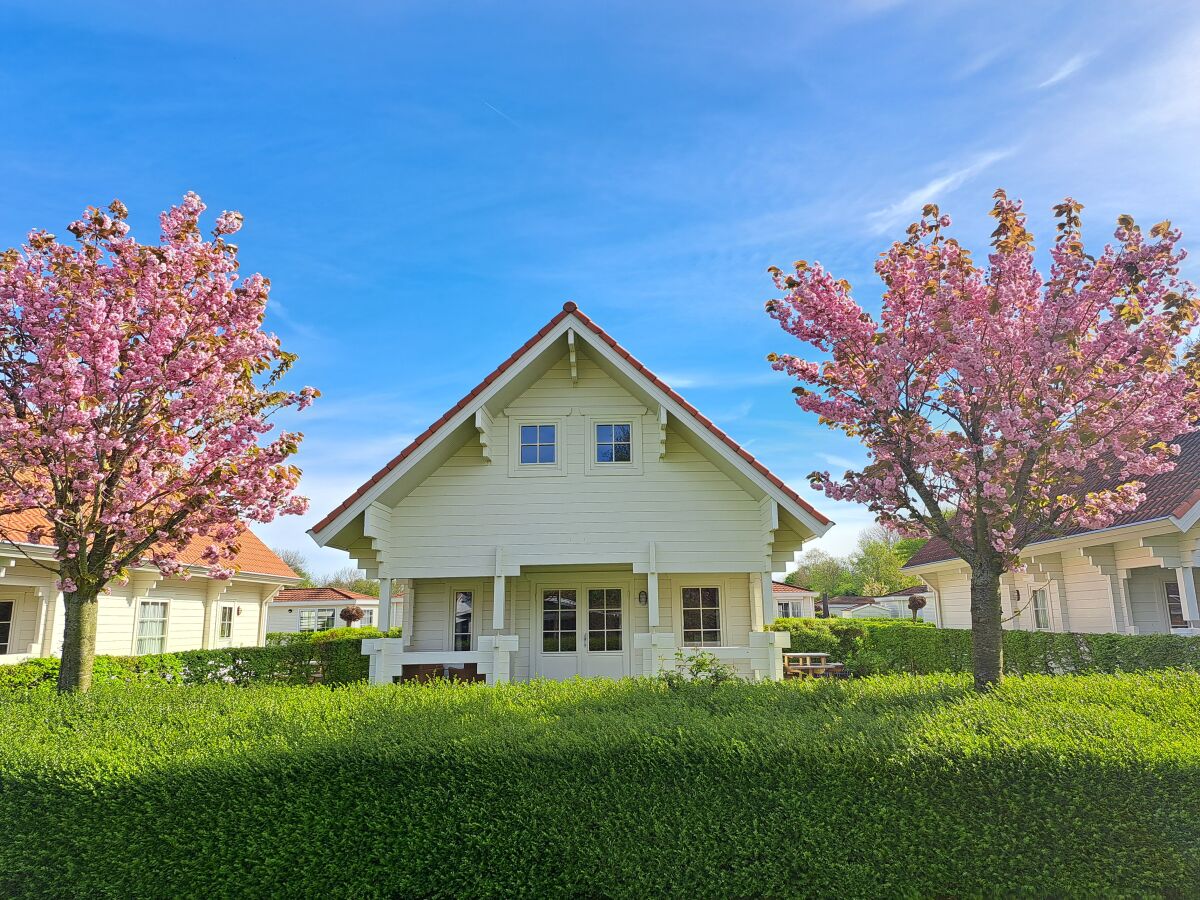 Vakantieappartement Oostkapelle Buitenaudio-opname 1