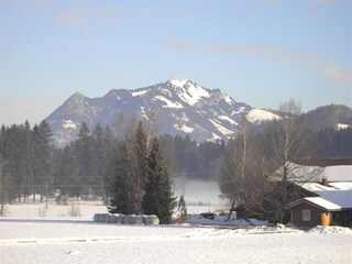 View of Grünten