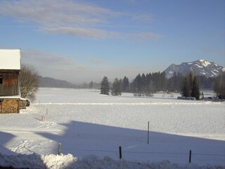 Apartamento de vacaciones Fischen im Allgäu Entorno 11