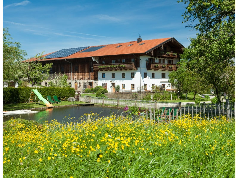 Ferienhäuser &amp; Ferienwohnungen für den Urlaub mit Hund in Prien