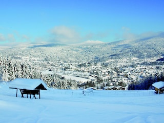 Bodenmais im Winter