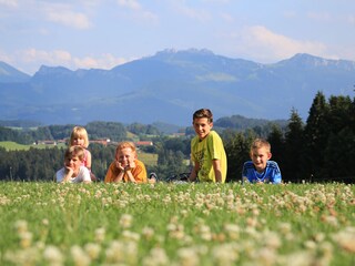 Die Alpen vor der Haustür