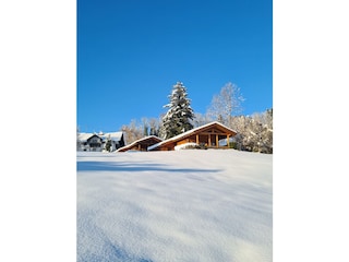 Chalet's im Winter