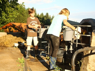 Chalet Rimsting Umgebung 22