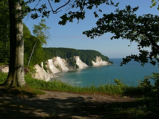 Blick von der Stubnitz auf die Kreidefelsen