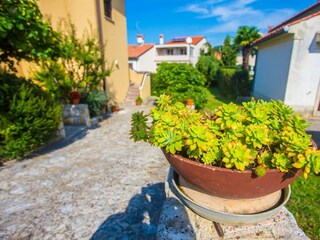 Apartment Porec Außenaufnahme 6
