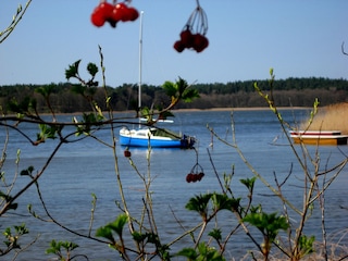 Warten auf die erste Segelpartie