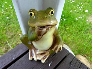 Alles Frosch - oder was?