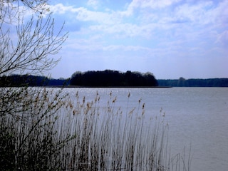 Hauptziel erster Spaziergänge bleibt der See.