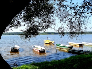 Userin - Idyll am See