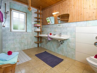 Appartamento per vacanze St. Jakob in Haus Caratteristiche 13