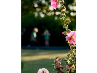 Casa per le vacanze Kirchwerder Ambiente 22