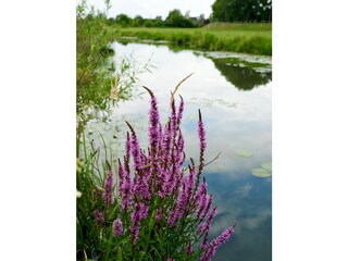 Casa per le vacanze Kirchwerder Ambiente 27