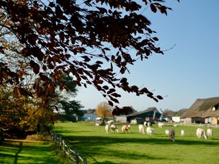 Casa per le vacanze Kirchwerder Ambiente 29