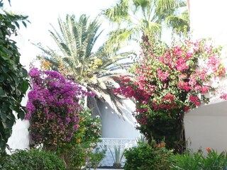 Bungalow Costa Calma Registrazione all'aperto 8