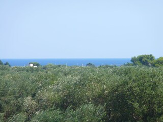 Casa per le vacanze Manduria Registrazione all'aperto 5