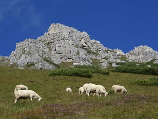 Appartamento per vacanze Neustift im Stubaital Ambiente 17
