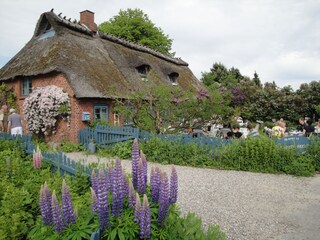 Café Lichthof in Falshöft