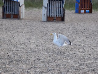 Am Weidefelder Strand