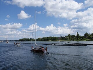 Segler am Heringszaun Kappeln