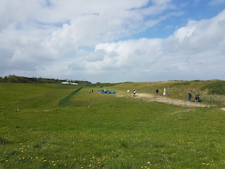 Hundewiese mit Agility