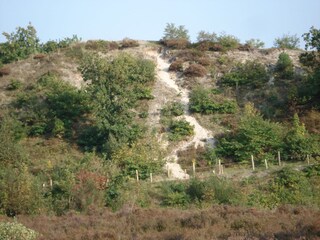 Vakantieappartement Schoorl Omgeving 13