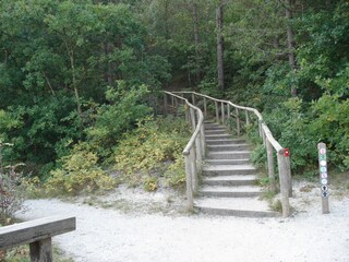 Vakantieappartement Schoorl Omgeving 14