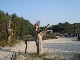 Vakantieappartement Schoorl Omgeving 15