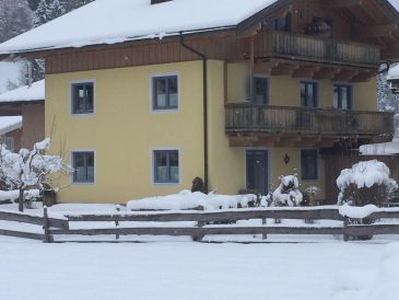 Holiday apartment Danzl