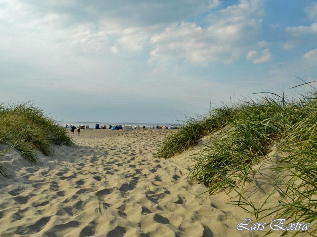 Strand und Dünen