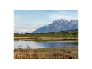 Appartamento per vacanze Anger Ambiente 36