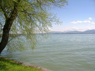 Apartamento de vacaciones Anger Entorno 24