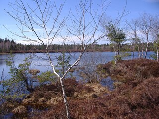 Appartamento per vacanze Anger Ambiente 26