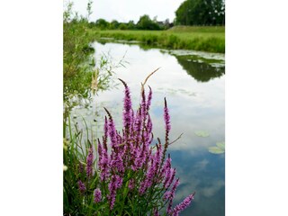 Appartamento per vacanze Kirchwerder Ambiente 17