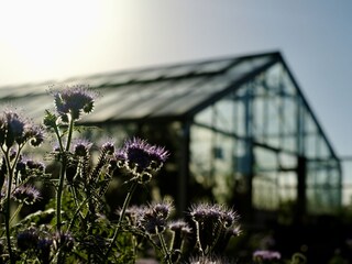 Appartamento per vacanze Neuengamme Ambiente 13