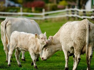 Appartamento per vacanze Neuengamme Ambiente 15