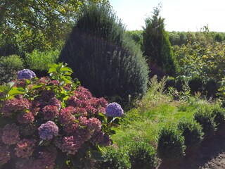 Appartamento per vacanze Neuengamme Ambiente 19