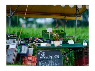 Apartamento Kirchwerder Grabación al aire libre 5