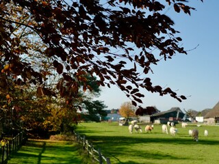 Appartamento Bergedorf Ambiente 12