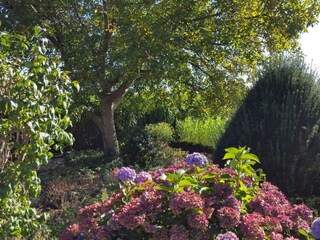 Appartamento per vacanze Kirchwerder Registrazione all'aperto 3