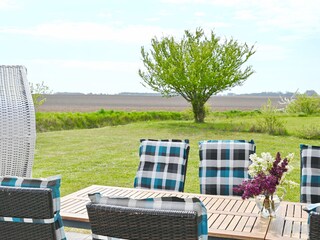 Blick in den Garten