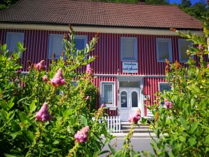 Holiday house in the house Harz holiday - Herzberg am Harz - image1