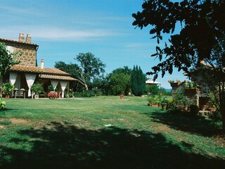 Poggio dell'olivo im großen Garten