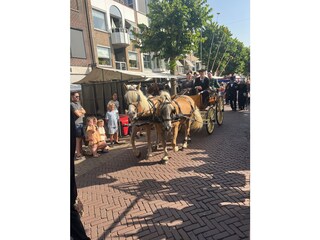 Maison de vacances Sint Maartenszee Environnement 25