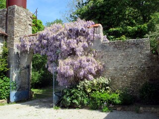 Vakantieappartement Quimperlé Omgeving 10
