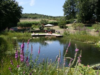 Vakantiehuis Ville di Corsano Buitenaudio-opname 8