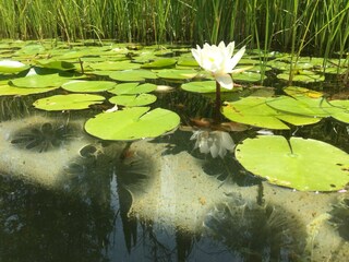 Vakantiehuis Ville di Corsano Buitenaudio-opname 11