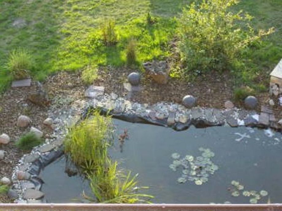 Ferienwohnung in Altkalen, Mecklenburgische Seenplatte, Altkalen Firma Ferienhausvermietung ~ Kleiner Teich Im Garten Kosten Ferienwohnung in Altkalen, Mecklenburgische Seenplatte, Altkalen Firma Ferienhausvermietung ~ 20185911_Kleiner Teich Im Garten Kosten