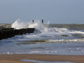 Appartamento per vacanze Domburg  11