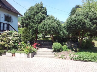 Eingang